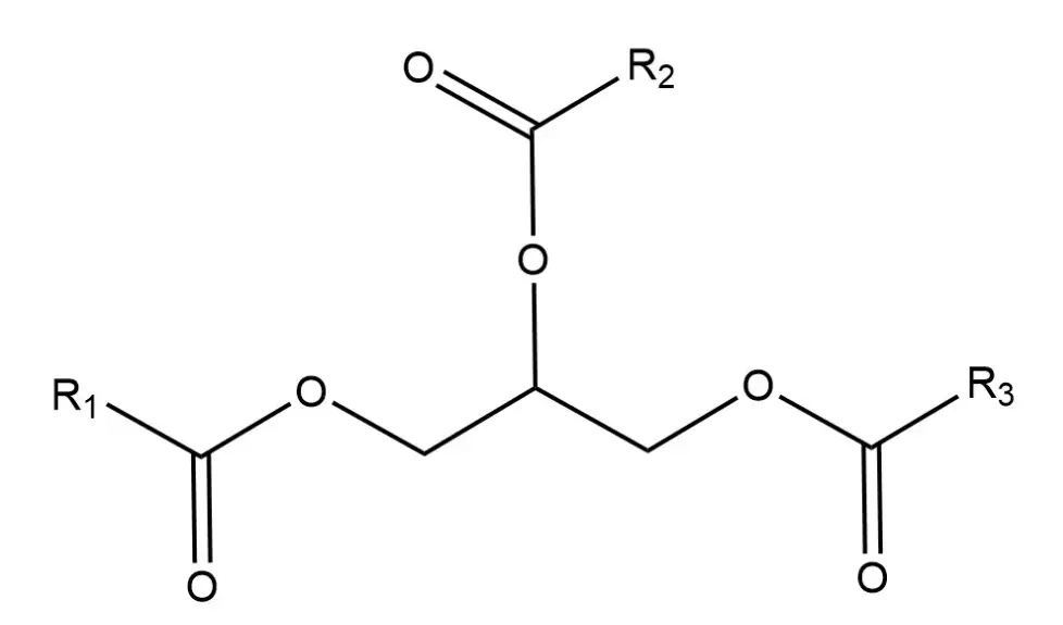 甘油三酯